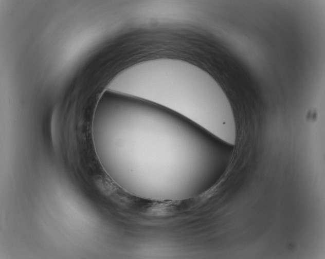 X0000110940140200906191059