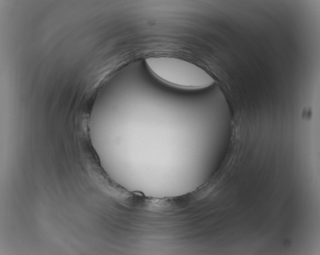 X0000110940141200906191059