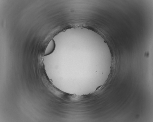 X0000110940142200906191059