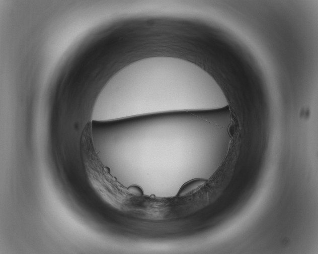 X0000110940143200906191059