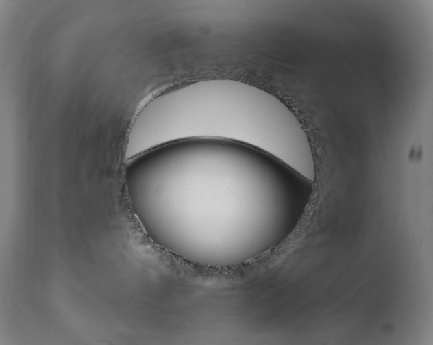 X0000110940144200906191059