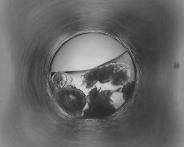 X0000110940145200906191058