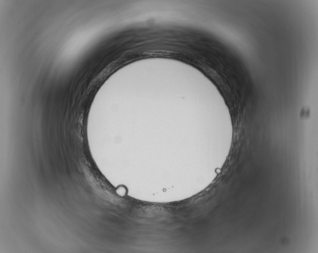 X0000110940146200906191058