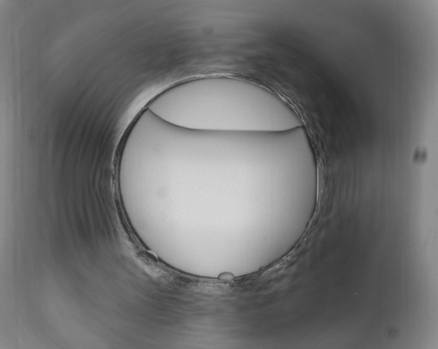 X0000110940147200906191058