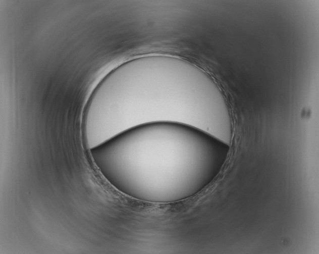 X0000110940148200906191058