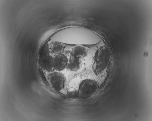 X0000110940149200906191058