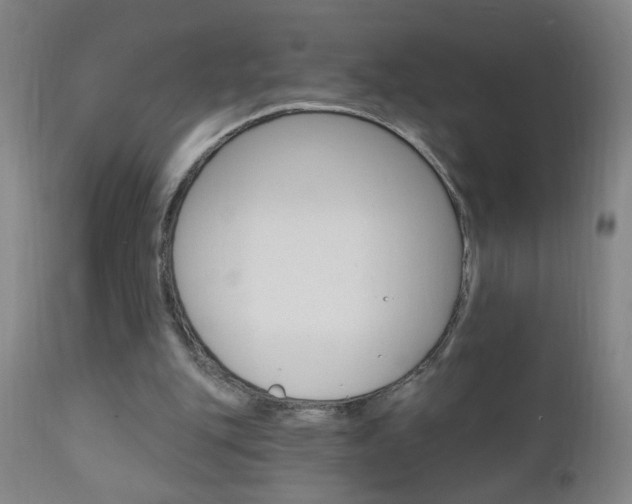 X0000110940151200906191058