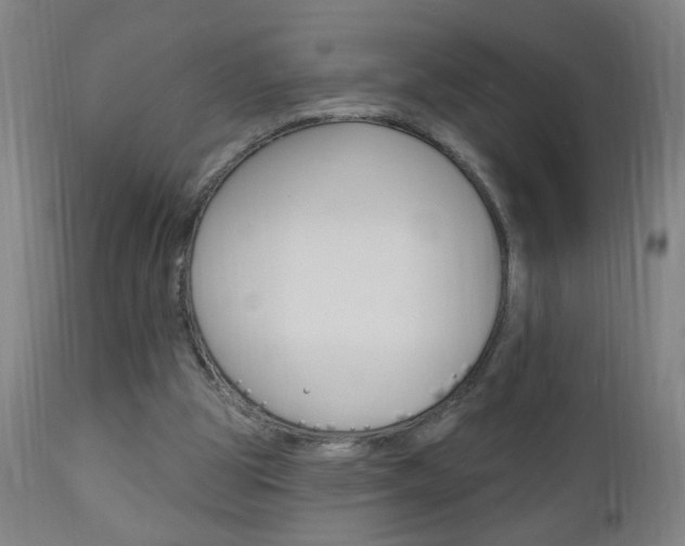 X0000110940153200906191058