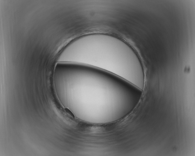 X0000110940154200906191058