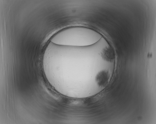 X0000110940155200906191058