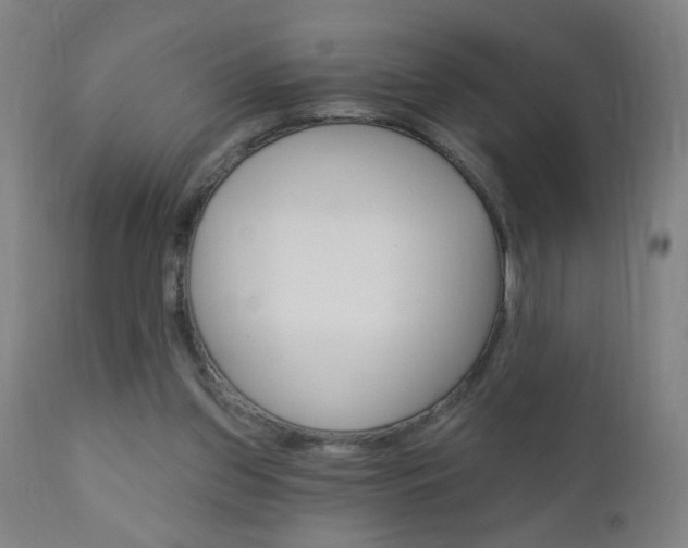 X0000110940157200906191058