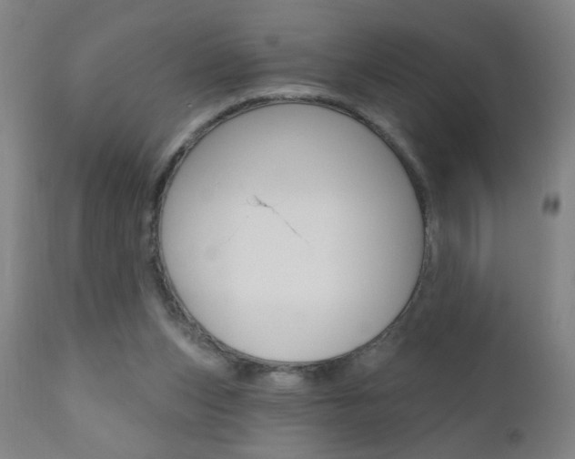 X0000110940159200906191058