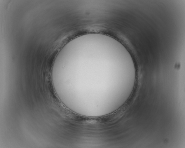 X0000110940161200906191058