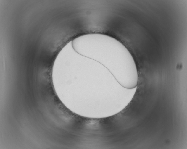 X0000110940162200906191058