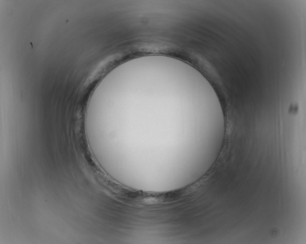 X0000110940163200906191058