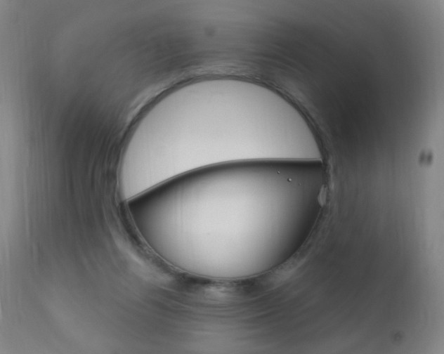 X0000110940164200906191058