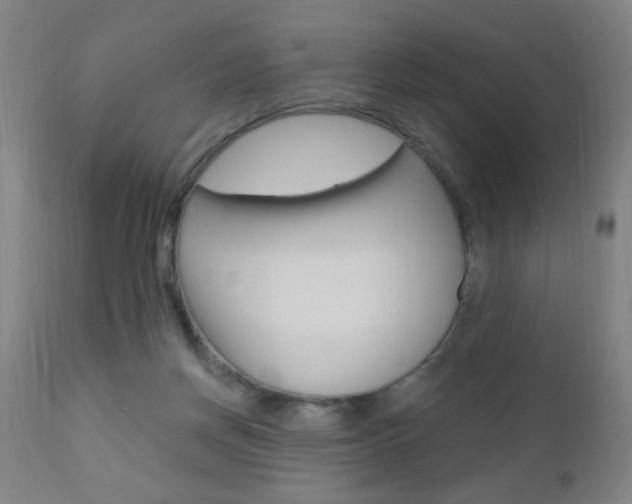 X0000110940166200906191058