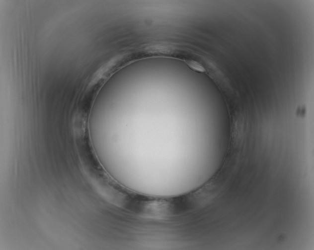 X0000110940168200906191058