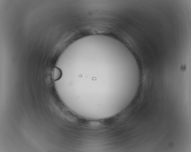 X0000110940169200906191058