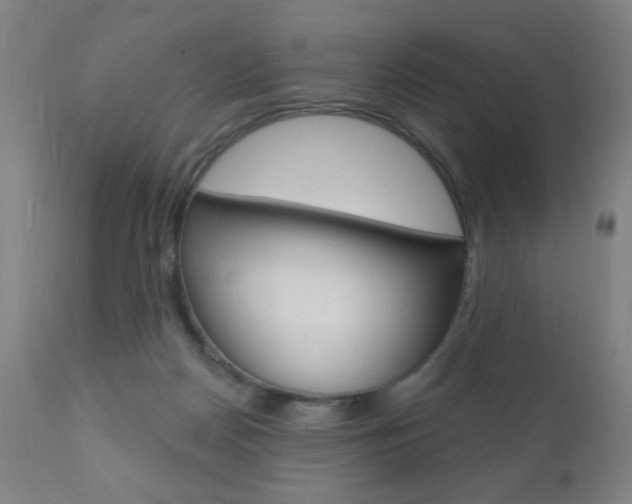 X0000110940170200906191059