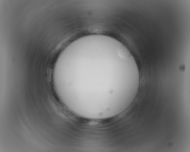 X0000110940171200906191059