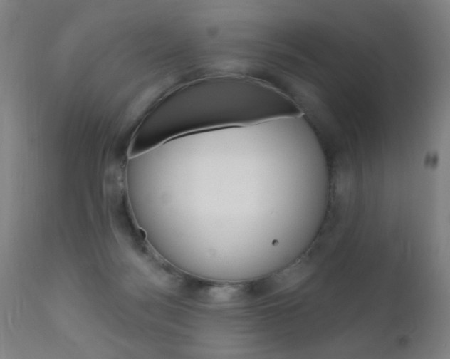 X0000110940172200906191059