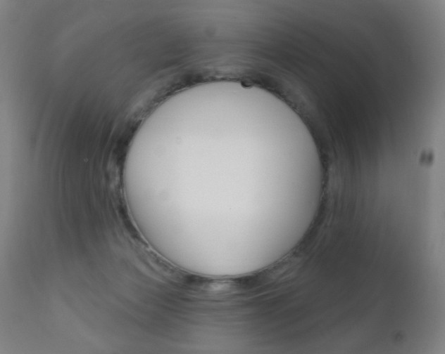 X0000110940173200906191059