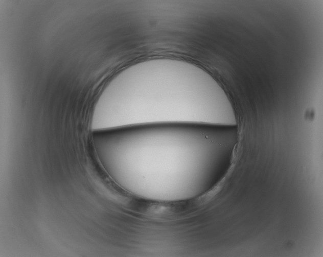 X0000110940174200906191059