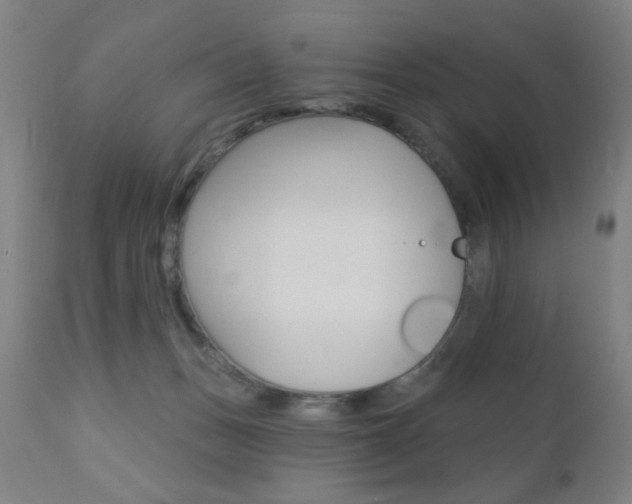 X0000110940175200906191059