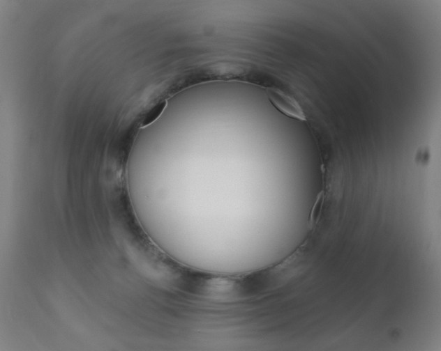 X0000110940176200906191059