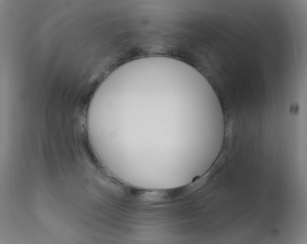 X0000110940179200906191059