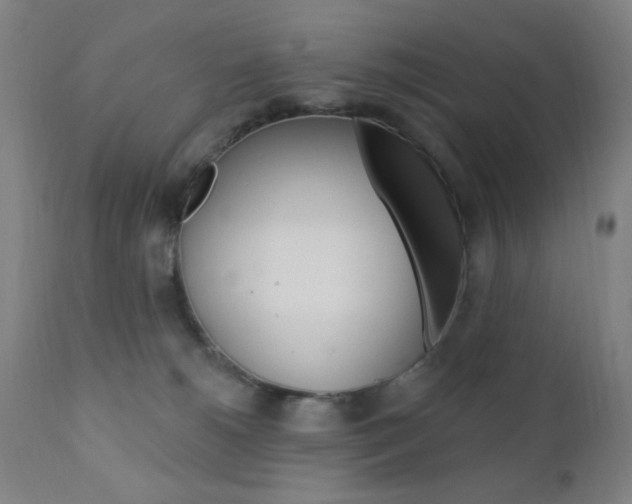 X0000110940180200906191059