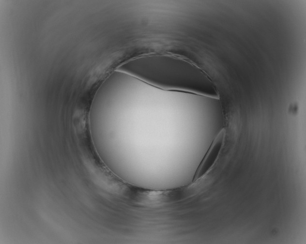 X0000110940184200906191059