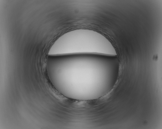 X0000110940186200906191059