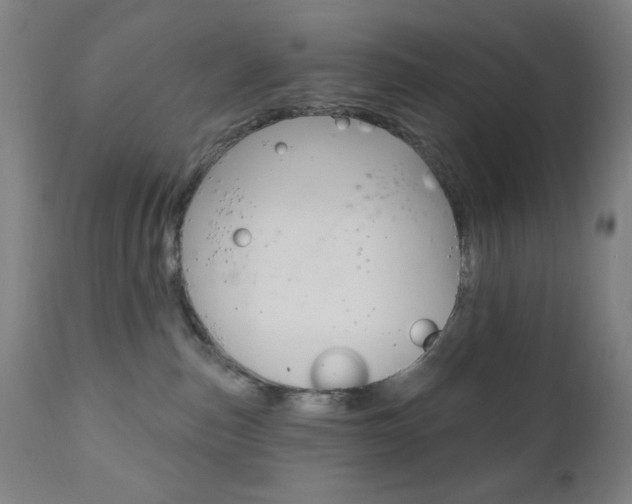 X0000110940187200906191059
