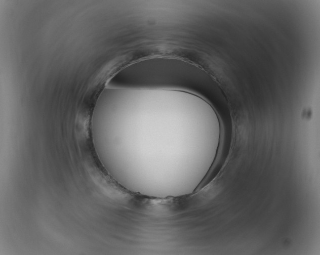 X0000110940188200906191059