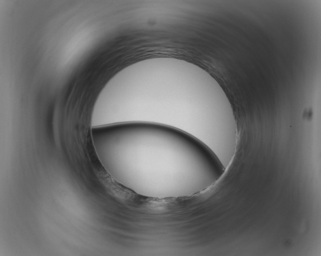 X0000110940190200906191059