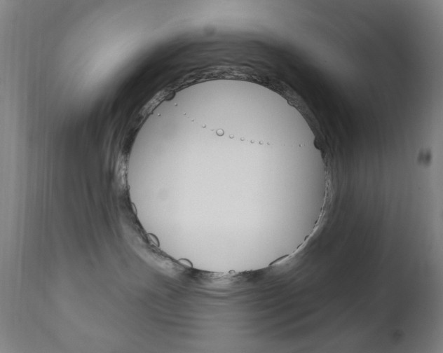 X0000110940191200906191059