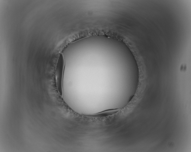 X0000110940192200906191059