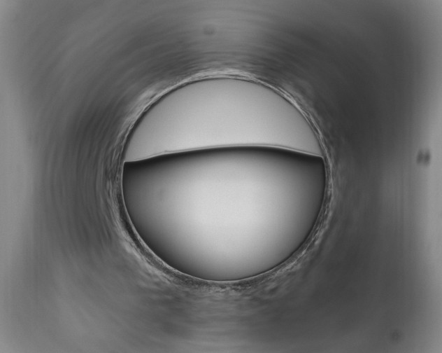 X0000110940193200906191058