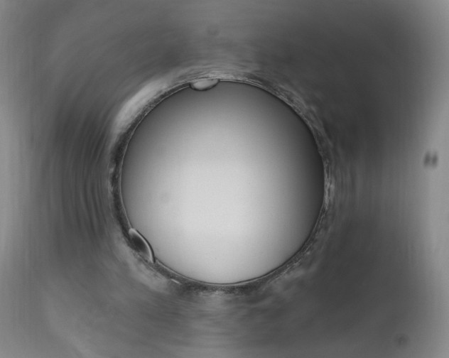 X0000110940197200906191058