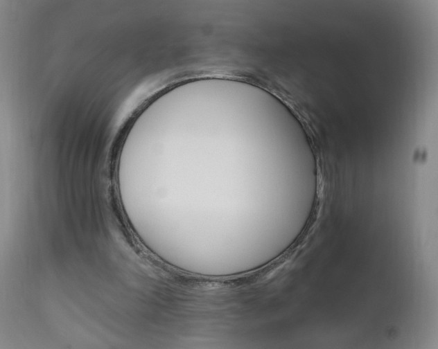 X0000110940198200906191058