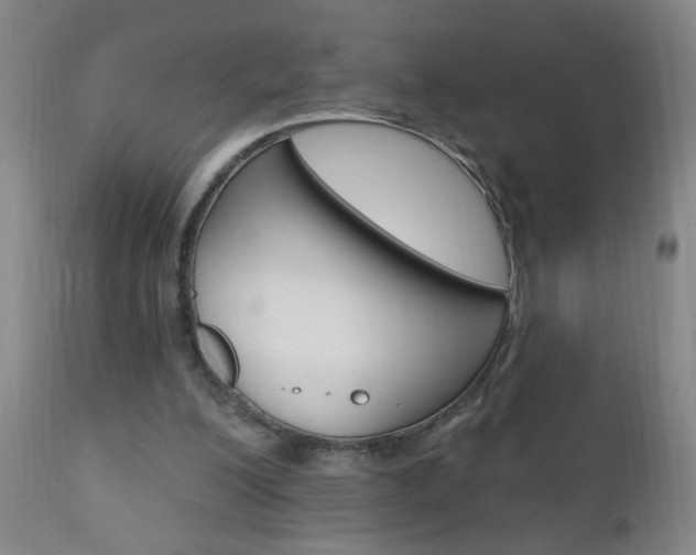 X0000110940200200906191058