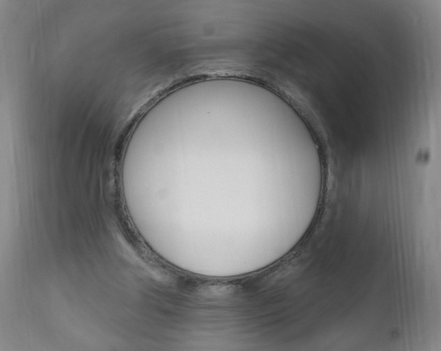 X0000110940202200906191058