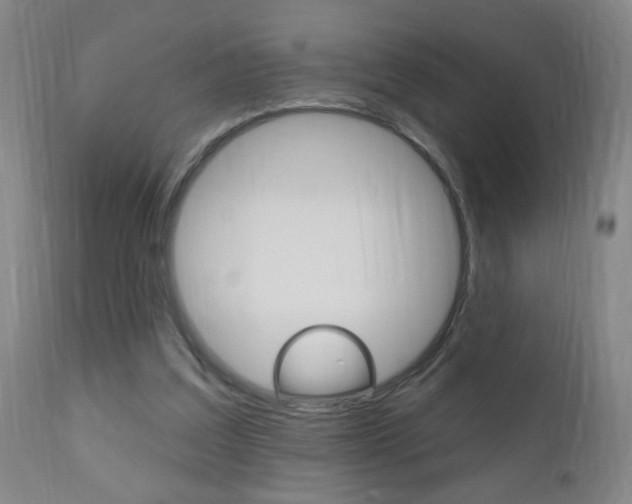 X0000110940203200906191058