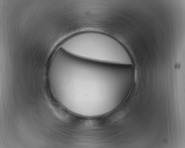 X0000110940204200906191058