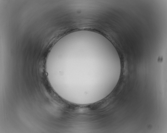 X0000110940210200906191058