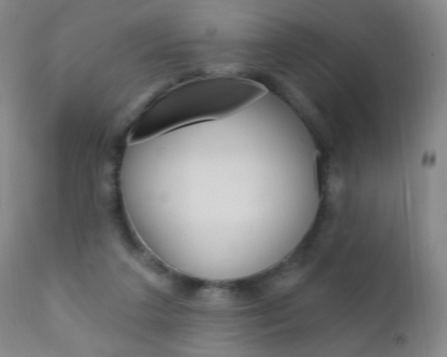 X0000110940211200906191058