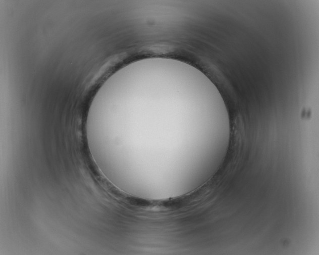 X0000110940212200906191058