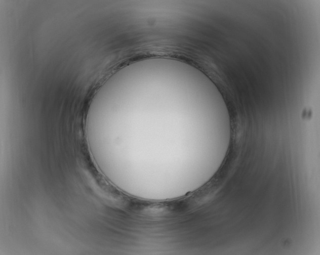 X0000110940213200906191058